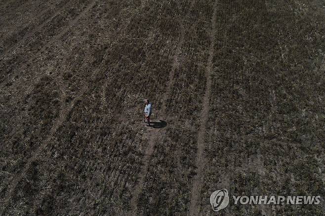 지난 3월 20일(현지시간) 가뭄에 황폐화한 콩밭 바라보는 아르헨티나 농민 [AFP 연합뉴스 자료사진. 재판매 및 DB 금지]