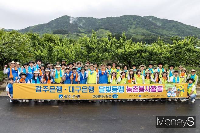 광주은행은 지난 18일 전남 순천의 한 매실농장에서 대구은행과 함께 '달빛동맹'농촌 봉사활동'을 실시했다/사진=광주은행 제공.