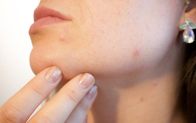 자료사진 출처=픽사베이