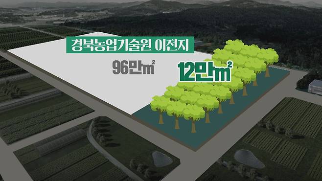 벼농사 짓던 땅 12만 ㎡에 나무가 심겼다. 그것도 2년 사이에...