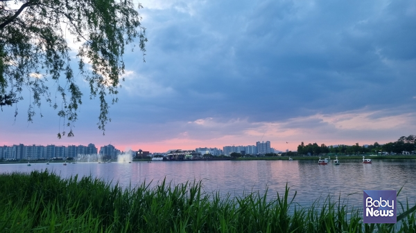 대구 수성못의 야경. ⓒ최은경