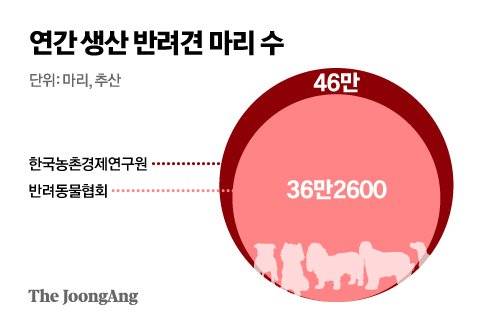 그래픽=신재민 기자 shin.jaemin@joongang.co.kr