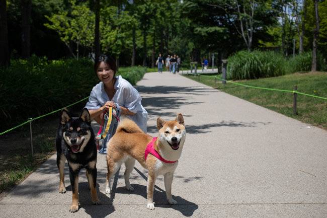 반려견과 함께 산책 나온 시민.