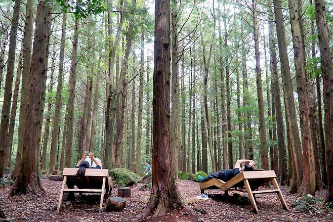 서귀포 치유의 숲