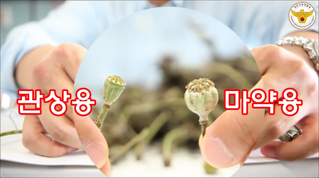 사진 = 대전지방경찰청 제공.