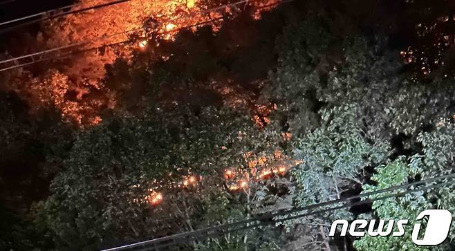 강원 평창 대화면 산불.(산림청 제공) 2023.5.26/뉴스1