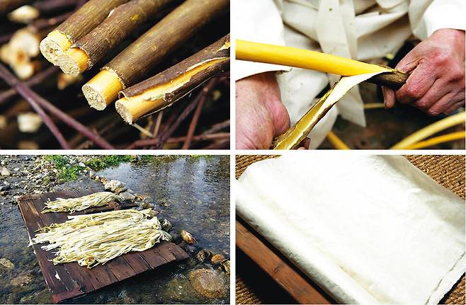 닥나무를 찌고, 껍질을 벗긴 뒤, 희고 섬유질이 풍부한 속껍질을 씻고 햇볕에 말려 더욱 하얗게 만드는 닥종이 제작 과정. 푸른역사 제공