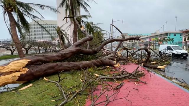 4등급 '슈퍼 태풍' 마와르가 태평양의 미국령 괌을 강타한 25일 나무들이 강풍에 꺾여 거리에 쓰러져 있다. 투몬 만(미국)=AFP 연합뉴스