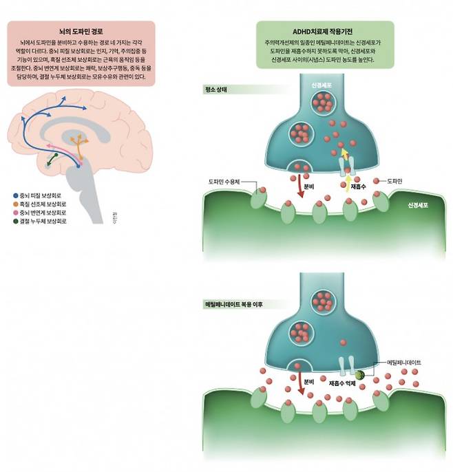 GIB, 과학동아 제공