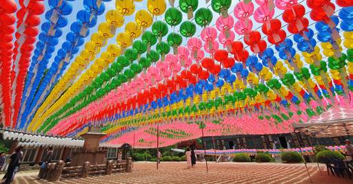 18일 오후 남양주 봉선사 큰법당 앞마당에 초파일을 기념하는 연등이 달려있는 모습. 송상호기자