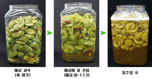 벌꿀 매실청 담그기 방법. 농촌진흥청