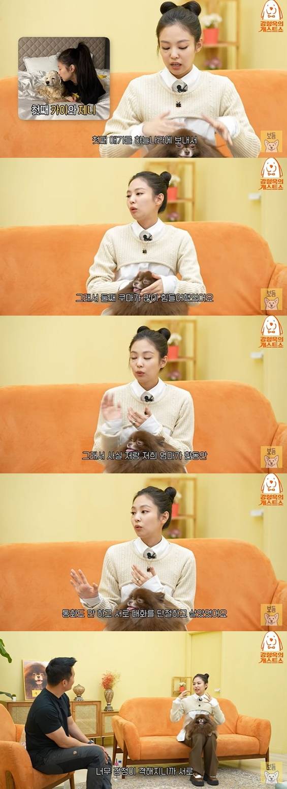 /사진='강형욱의 보듬TV' 영상 화면 캡처