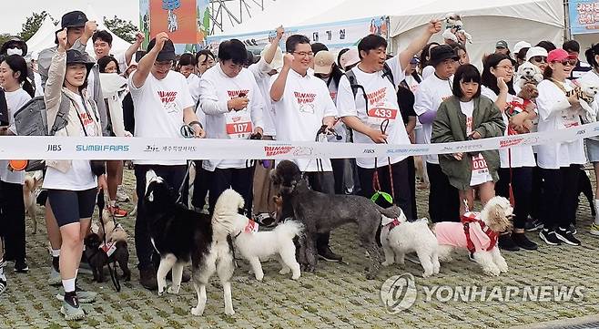 제주 반려동물 축제 (제주=연합뉴스) 27일 제주시 애월읍 새별오름 일대에서 열린 '2023 제주 반려동물 문화축제'에서 반려동물을 키우는 제주도민과 관광객 등이 '반려견과 함께 달리는 런닝멍' 프로그램에 참여하고 있다. 2023.5.27 [제주도 제공, 재판매 및 DB 금지] bjc@yna.co.kr