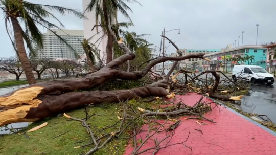 괌 휩쓴 '슈퍼 태풍'으로 거리에 쓰러진 나무들.사진=연합뉴스