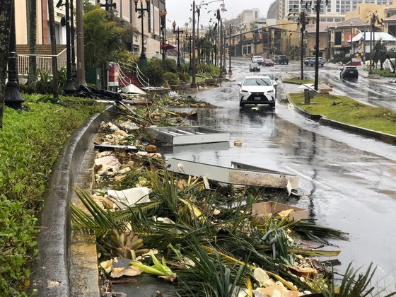 25일 오후 태풍 마와르가 할퀴고 간 괌 시내. 쓰러진 가로수와 건물 파편이 도로에 널브러져 있다. 독자 제공.