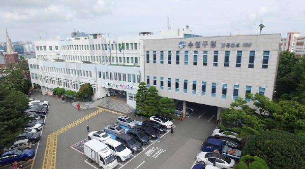 부산 수영구청 전경. 국제신문DB