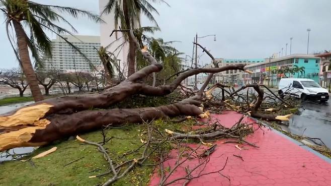 '슈퍼 태풍' 마와르가 괌을 강타한 25일(현지시간) 나무들이 강풍에 꺾여 거리에 쓰러져 있다. 연합뉴스