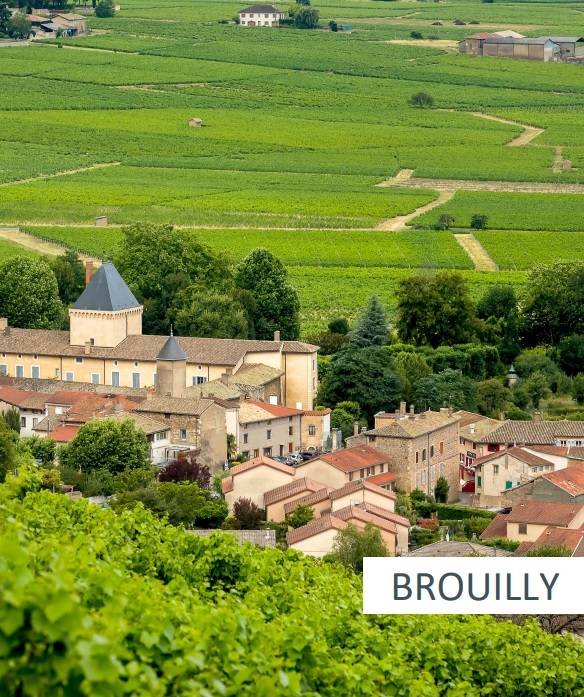 브루이 전경. 소펙사 코리아 제공