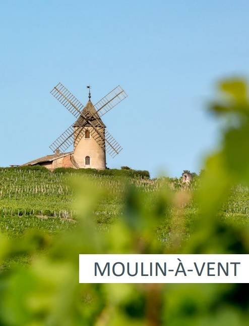 물랭아방 전경. 소펙사 코리아 제공