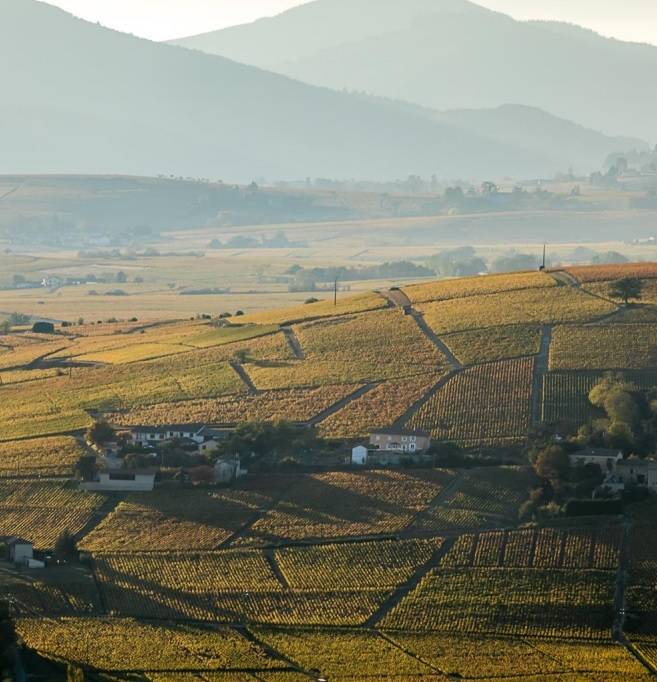 모르공 전경. 소펙사 코리아 제공