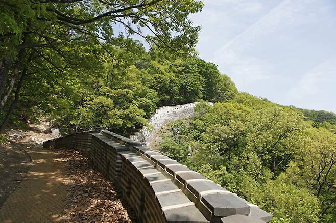초여름의 푸름을 만끽할 수 있는 남한산성(경기 광주). 사진제공|박상준(여행작가)