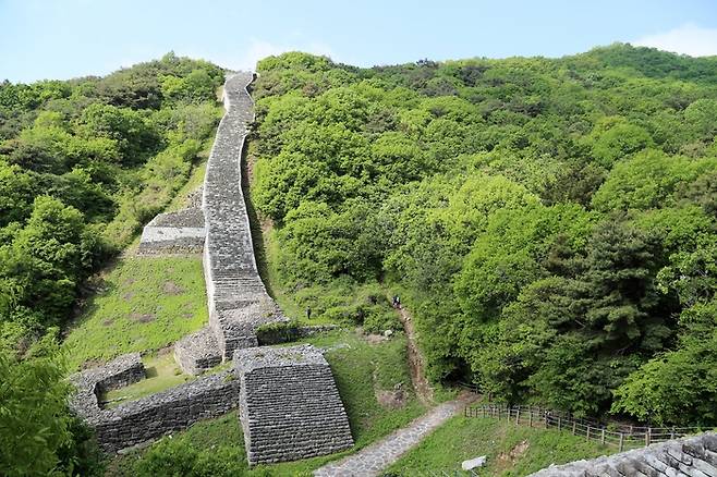 미륵산성 치에 올라서면 남쪽으로 향한 석축과 동문과 옹성이 한눈에 들어온다(전북 익산). 사진제공|길지혜(여행작가)