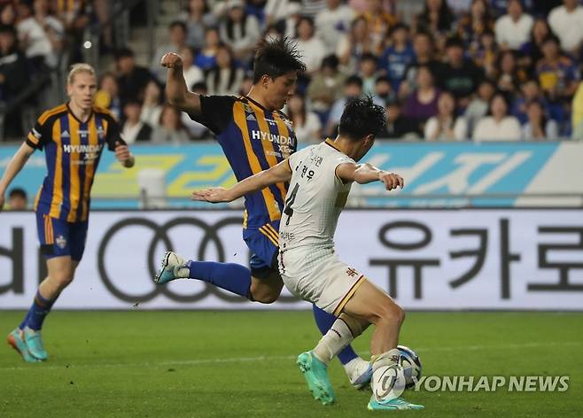 다시 동점 만드는 주민규 (울산=연합뉴스) 김용태 기자 = 28일 울산 문수축구경기장에서 열린 프로축구 하나원큐 K리그1 울산 현대와 대전하나시티즌의 경기에서 울산 주민규가 3대3 동점을 만드는 슛을 하고 있다. 2023.5.28 yongtae@yna.co.kr