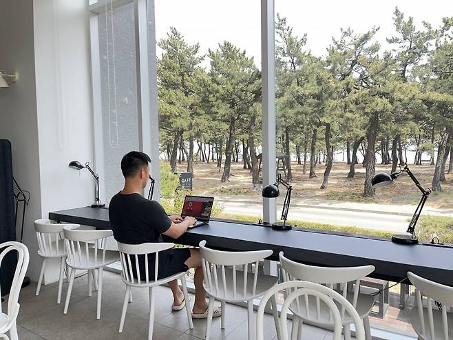 현대백화점의 직원들이 ‘워케이션’ 일환으로 강원도 강릉에서 근무하고 있는 모습. 기업들은 엔데믹 후 직원들의 ‘재출근 스트레스’를 달래기 위해 워케이션 도입, 휴가 제도 확충 등 복지를 강화하고 나섰다.