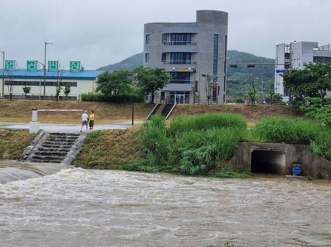 전북 전주에 많은 비가 내린 29일 삼천에도 불어난 물로 세월교 출입이 통제되고 있다.