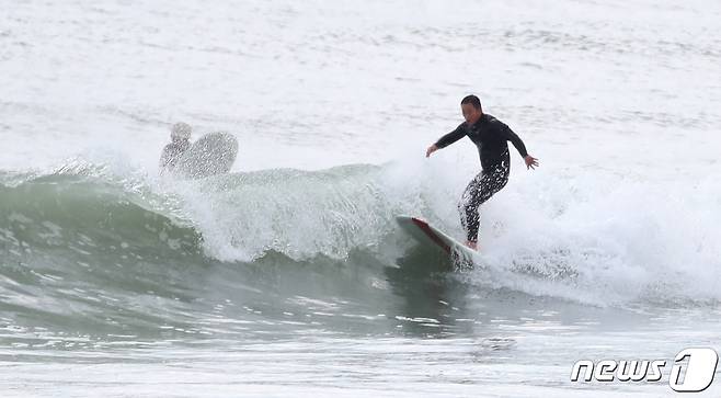부산 해운대구 송정해수욕장을 찾은 서퍼들이 서핑을 즐기고 있다. /뉴스1 ⓒ News1