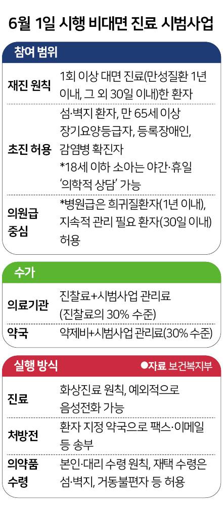 6월 1일 시행 비대면 진료 시범 사업. 그래픽=신동준 기자