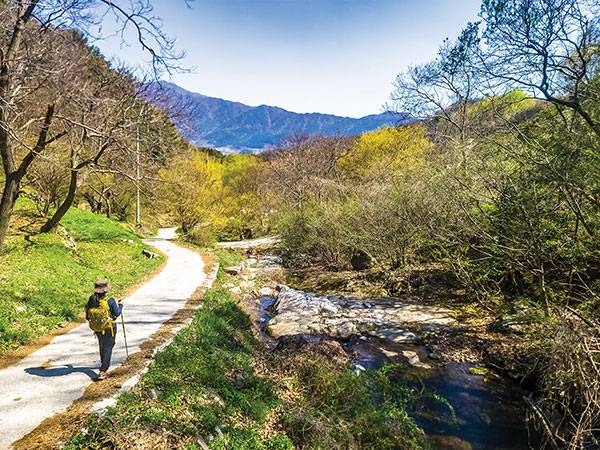 맑은 시냇물과 초록의 풀밭, 그리고 노란 산수유꽃이 만발한 현천마을 너머로 지리산이 보인다. 지리산 고리봉, 만복대, 견두산이 감싼 산동면은 어느 마을이나 산수유가 지천이다.