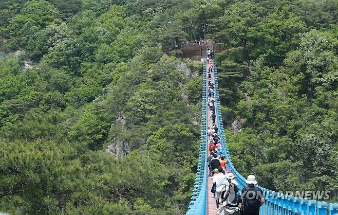 신록이 우거진 원주 출렁다리 [연합뉴스 자료사진]