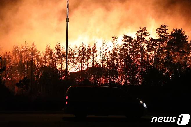 2019년 4월4일 강원 고성군 토성면 원암리에서 발생한 산불.(자료사진)ⓒ News1 DB