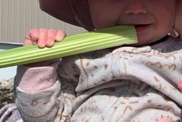 레나 벤자크의 생후 7개월 딸 / 사진= 레나 벤자크 SNS,헬스조선