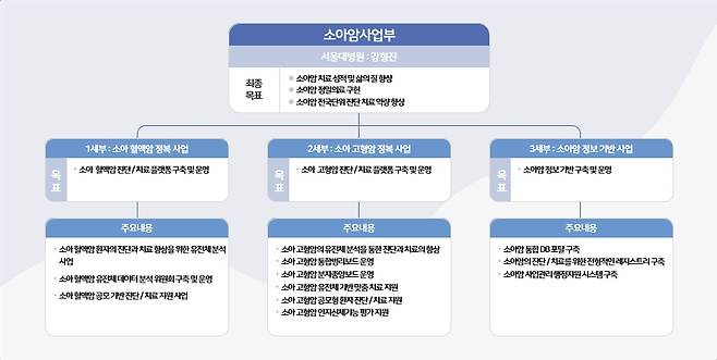 소아암·희귀질환지원사업단 소아암 사업부의 주요 사업 목록. /사진=서울대병원