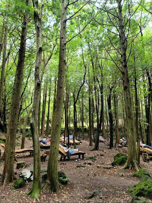 치유의 숲 가멍숲길 쉼팡. 최현태 기자