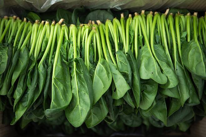 [사진=클립아트코리아]