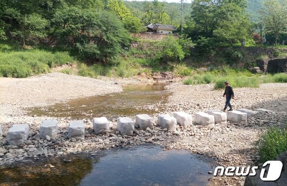 울산 울주군 반구대암각화 상류 반고서원 앞 대곡천에 조성된 징검다리. (울산환경운동연합 제공)