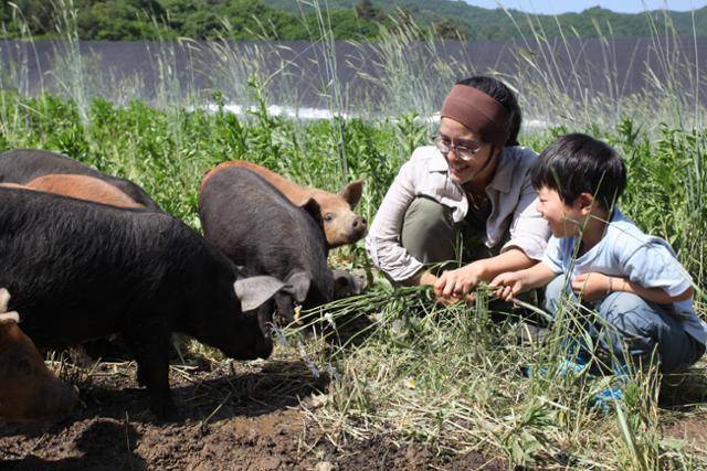 영화 '잡식가족의 딜레마' 속 황윤 감독이 아들 도영군과 돼지를 바라보고 있다. 황윤 감독 제공