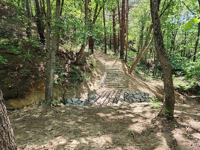 동서트레일 숲길 모습. 경북도 제공