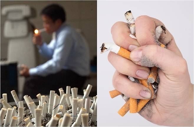 [사진출처=매경DB]