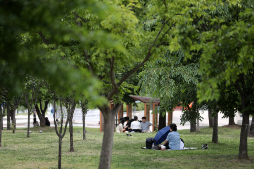 지난달 24일 오후 서울 여의도 한강공원을 찾은 시민들이 나무 그늘 아래서 휴식을 취하고 있다. (사진=뉴스1)