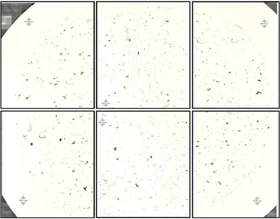 도마에서 떨어져 나온 미세플라스틱. [자료: ES&T, 2023]