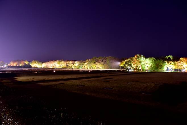 Panoramic view of Gyerim Forest in Gyeongju, North Gyeongsang Province (Gyeongju City)