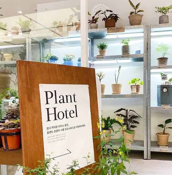 Plant Hotel, run by a local gardening brand, Garden Earth (Courtesy of Garden Earth)