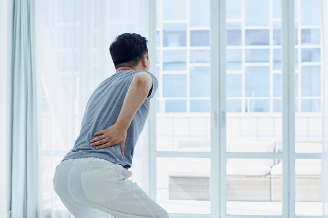 허리 통증을 유발하는 디스크의 원인은 다양하다. 개인의 상태에 따라 다양한 치료법을 선택할 수 있다. /게티이미지뱅크