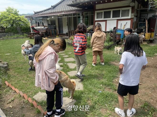 송산초 5학년 학생들이 점심시간 ‘목공쌤’ 집에서 강아지들과 놀고 있다. 김나연 기자