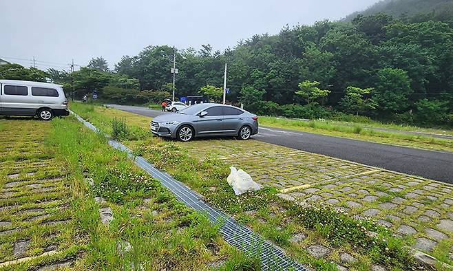 울주군 진하공영주차장에 잡초가 무성하게 자랄 정도로 제대로 관리가 되지 않고 있다.