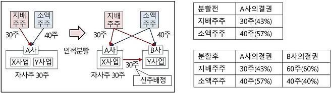 인적분할 시 자사주를 활용해 편법적으로 지배력을 강화하는 사례(금융위원회 제공) ⓒ News1 강은성 기자